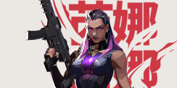 网1
