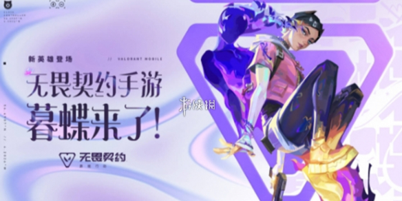 网1