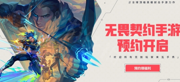网2