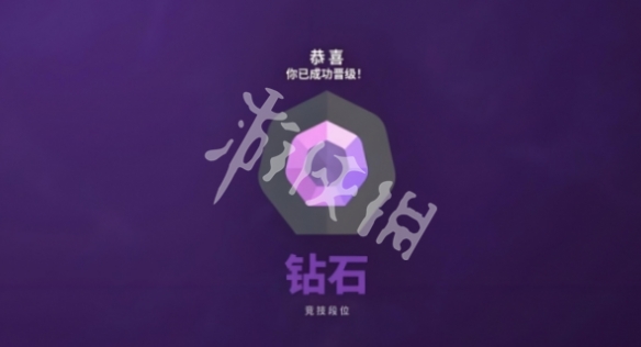 网8