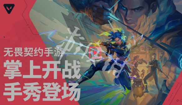 网4