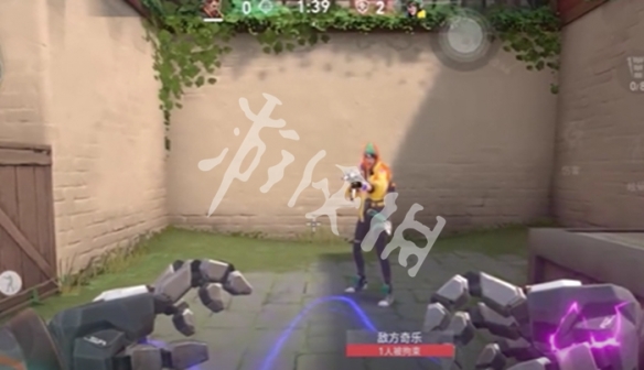 网5