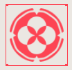 网5