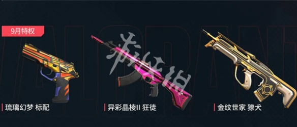 网3