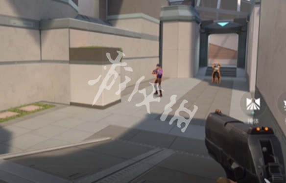 网3