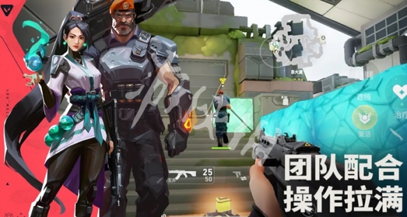 网4