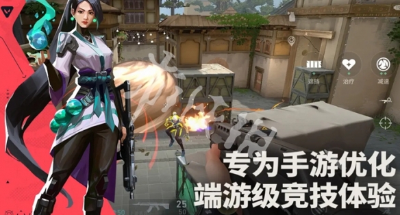 网5
