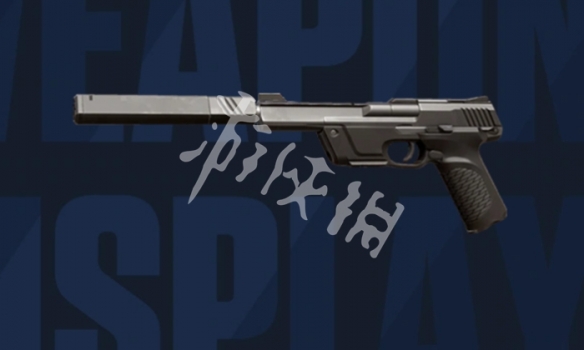 网2