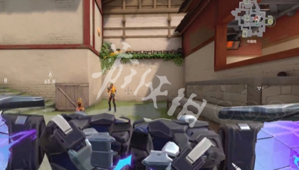 网5