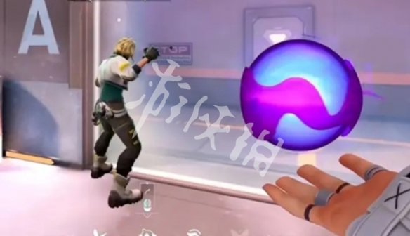 网4