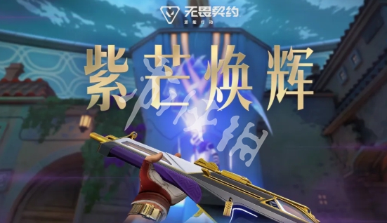 网3