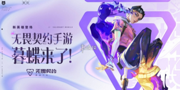 网1