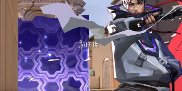网1