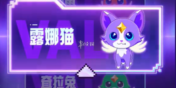网1